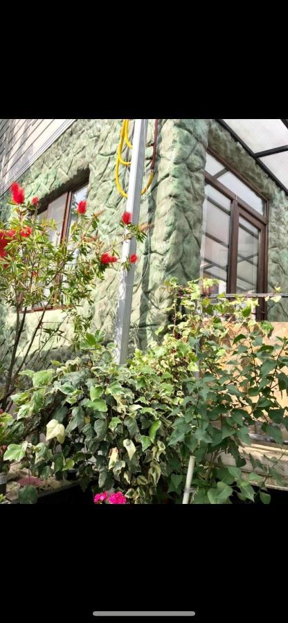 Apartamento Papillon Chakvi Exterior foto
